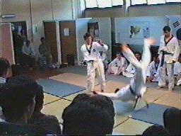 AM31.jpg (11685 bytes)