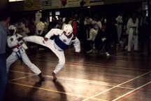 r11.jpg (7070 bytes)